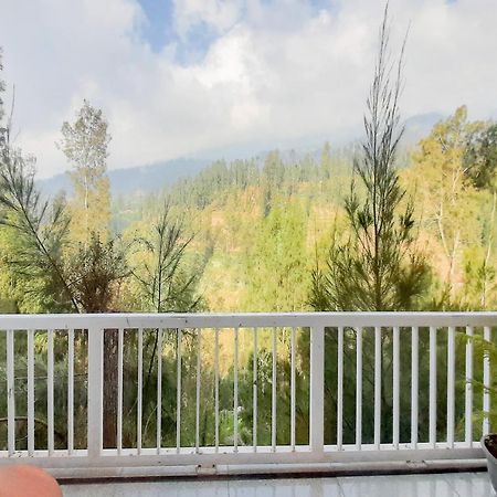 Delvia Bromo Homestay Mitra Reddoorz Pasuruan Εξωτερικό φωτογραφία